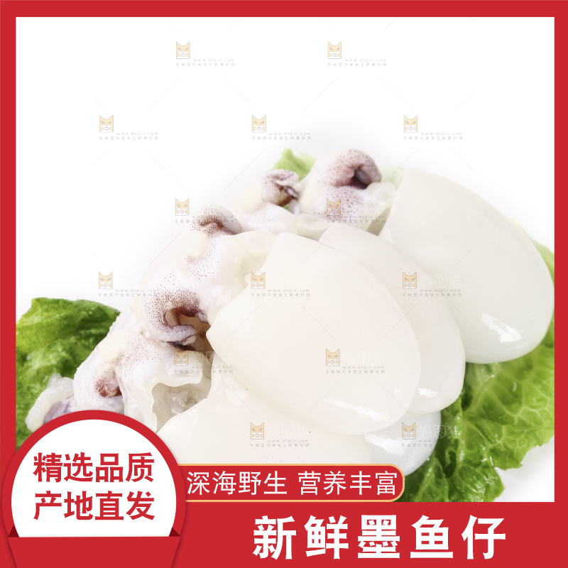 一堆新鲜墨鱼仔