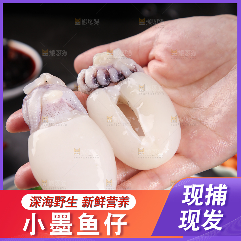 手里拿着新鲜墨鱼仔