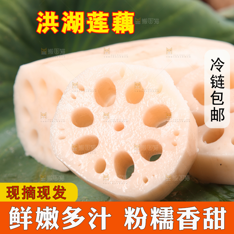 荷叶上的莲藕