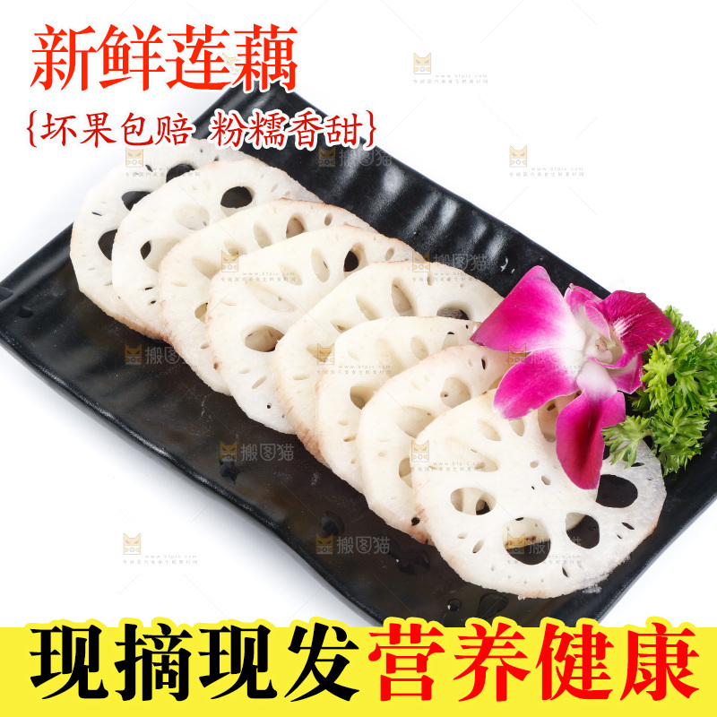 白底上一盘莲藕