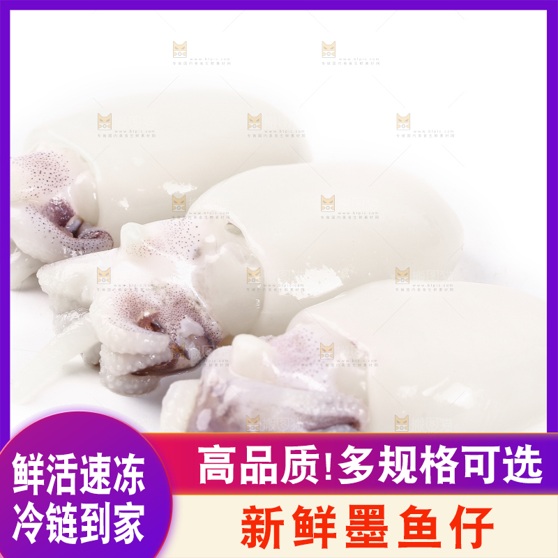 白底上的小墨鱼仔 