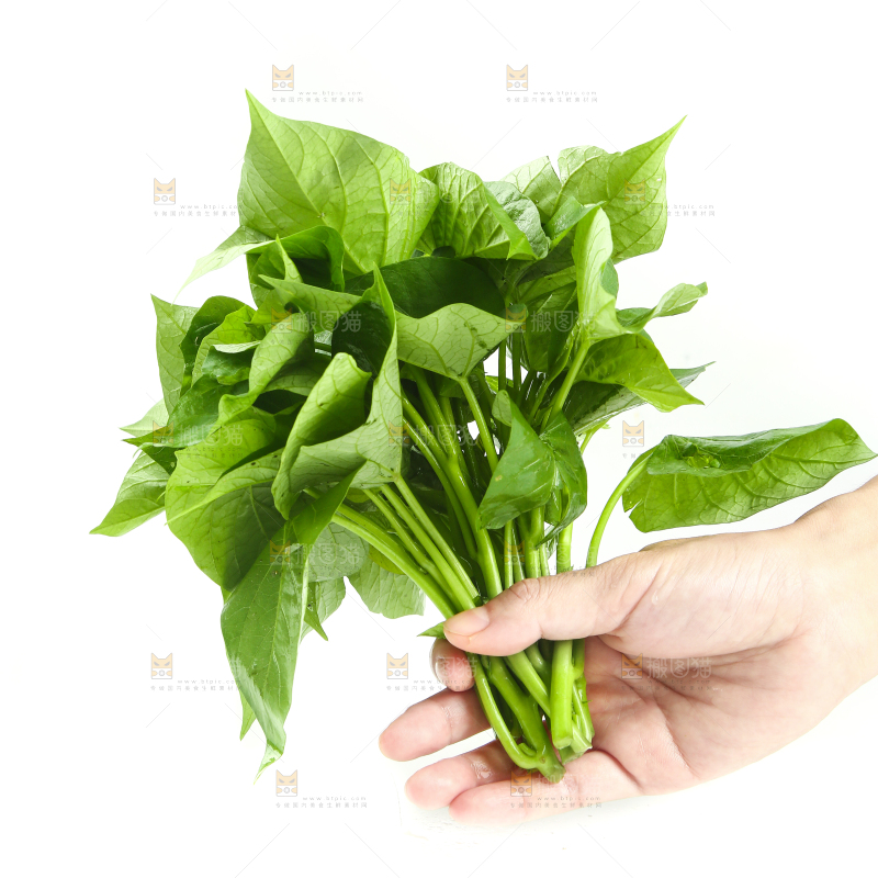手里拿着地瓜叶