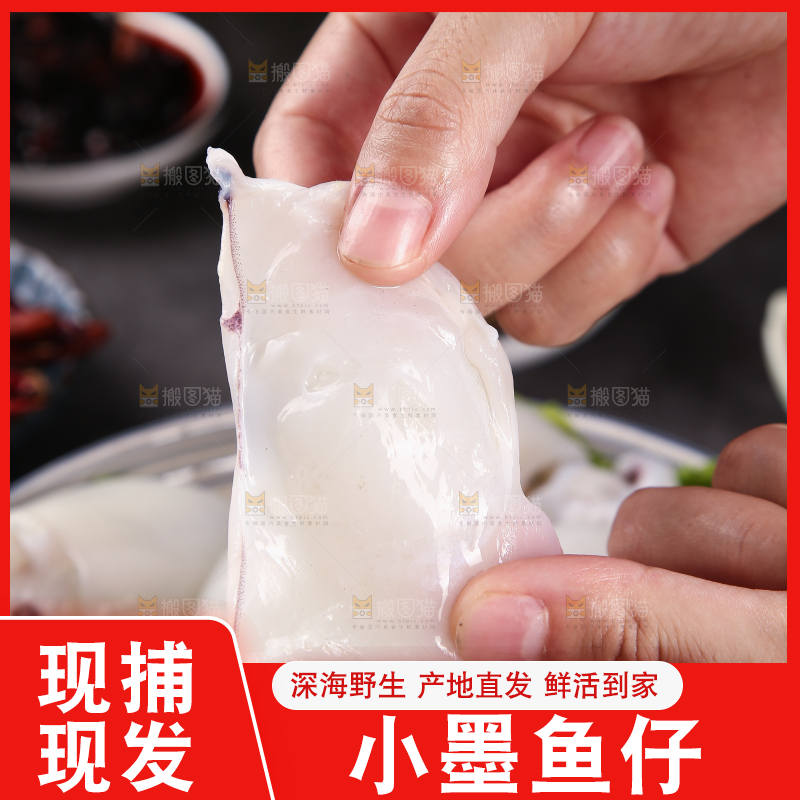 手里拿着新鲜墨鱼仔