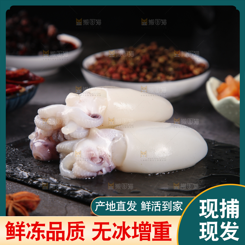 黑石板上的小墨鱼仔