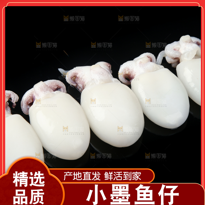 黑底上的墨鱼仔