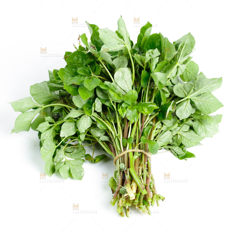 一把新鲜白花菜