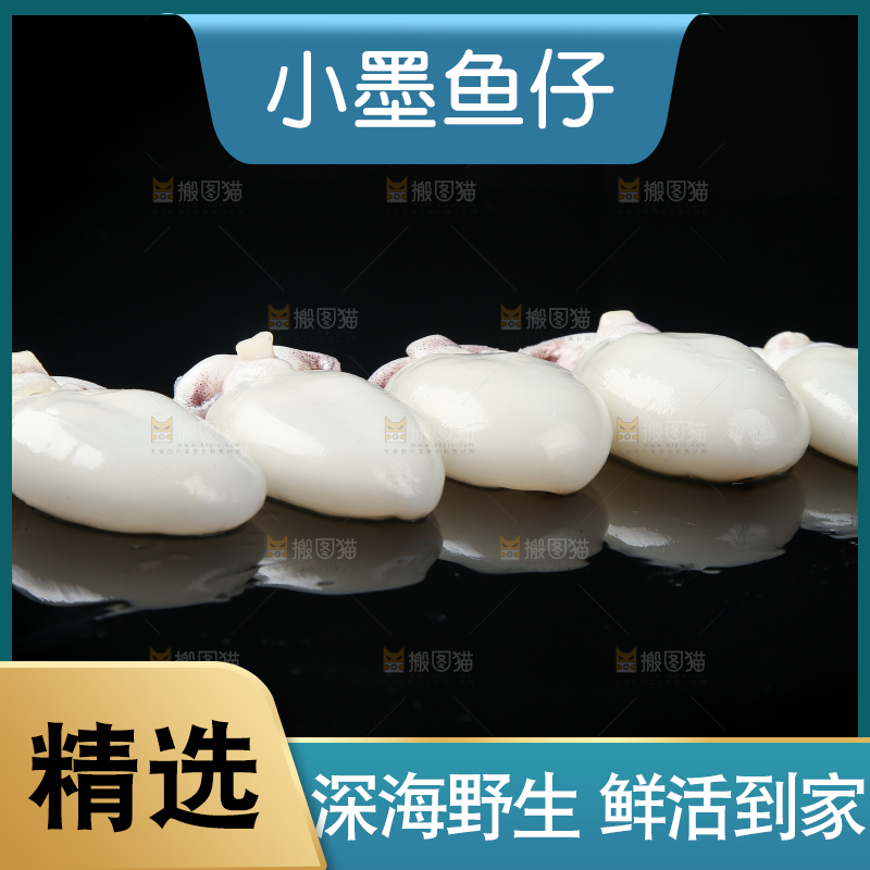 黑底上的墨鱼仔