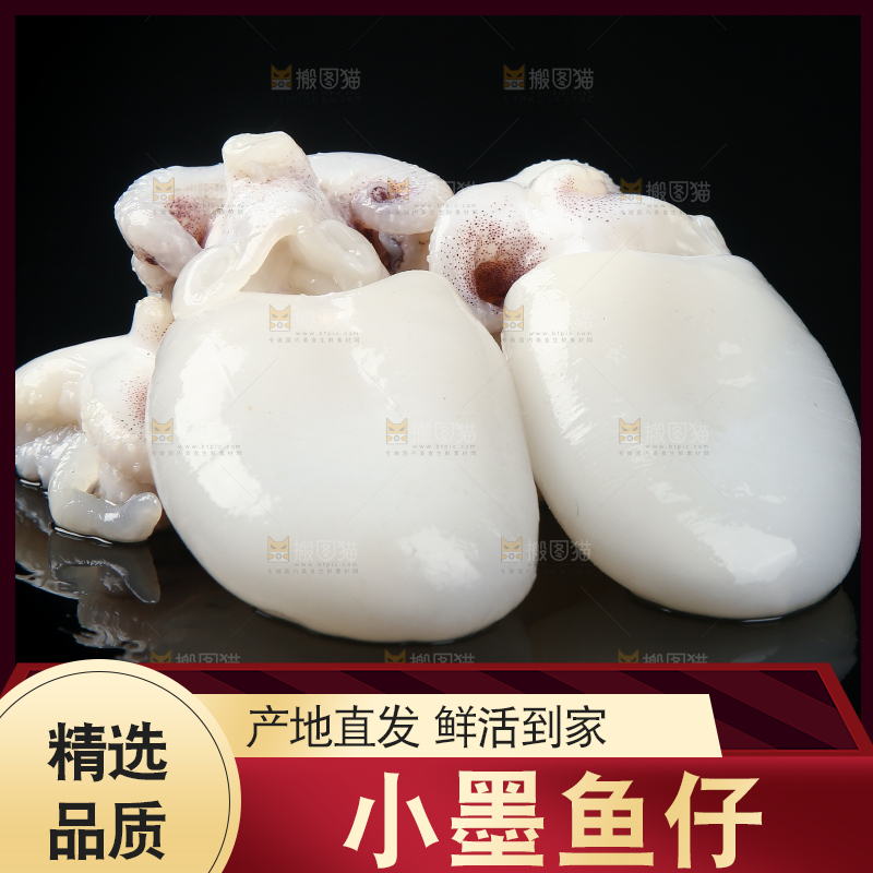 黑底上的墨鱼仔