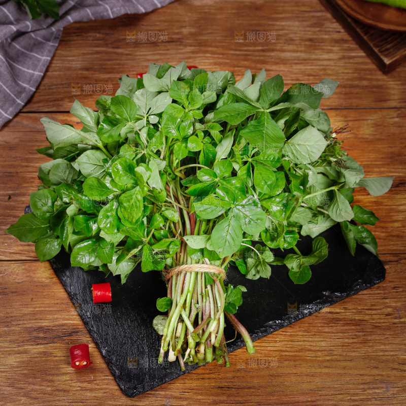 黑石板上放着湖北白花菜