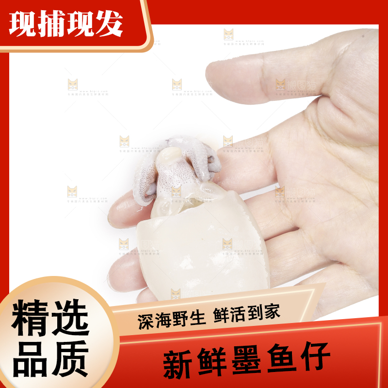 手里拿着小墨鱼