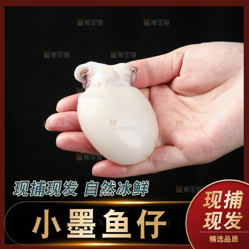 手里拿着小乌贼