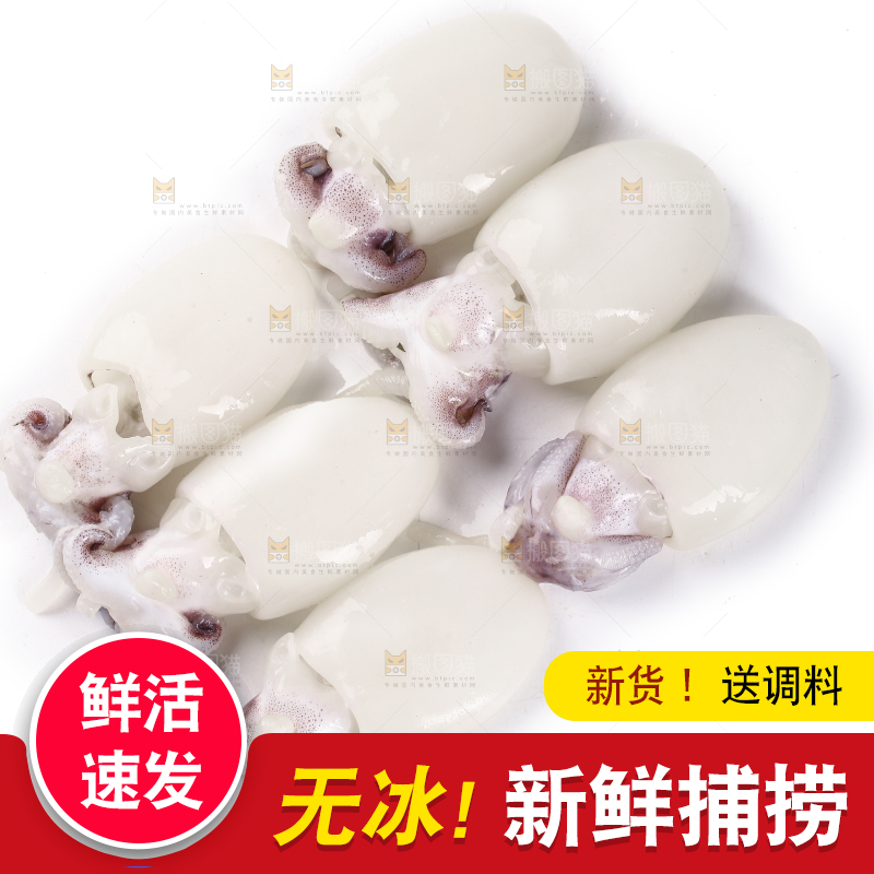 一堆新鲜墨鱼仔