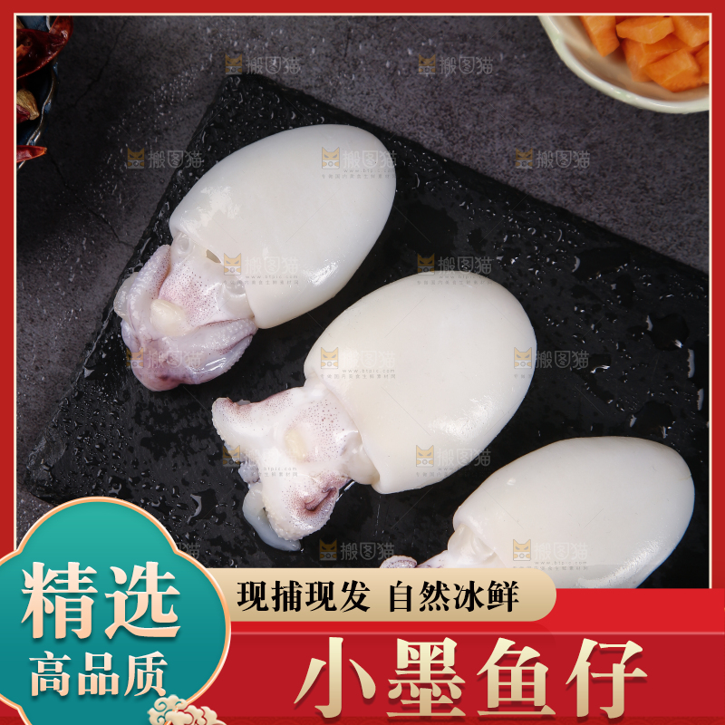 黑石板上的小墨鱼仔