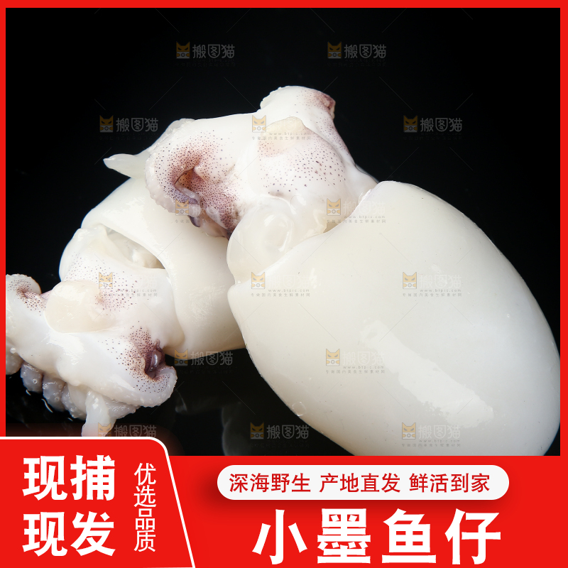 黑底上的墨鱼仔