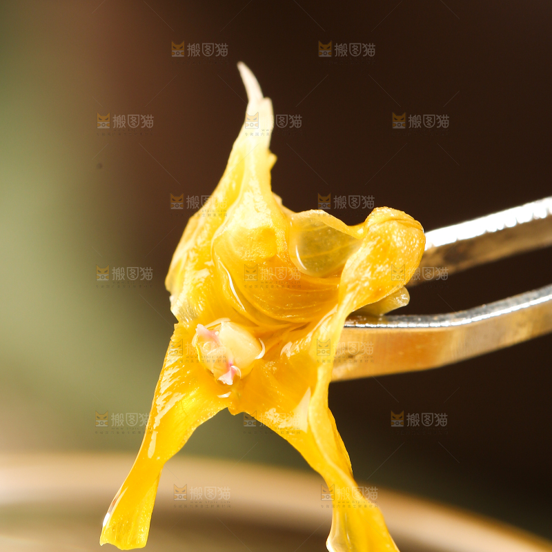 夹子夹着石斛花