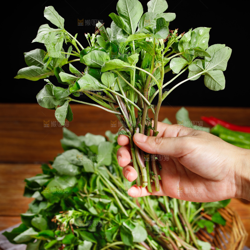 手里拿着白花菜