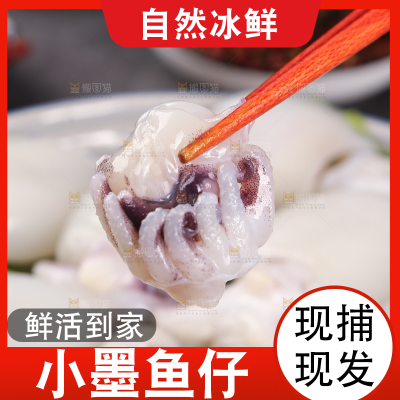 筷子上夹着墨鱼