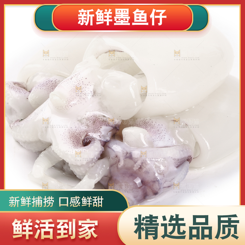 白底上的小墨鱼仔 