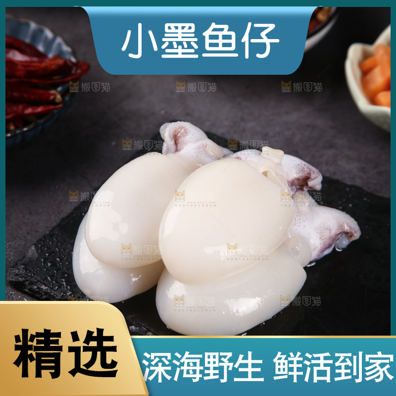 黑石板上的小墨鱼仔