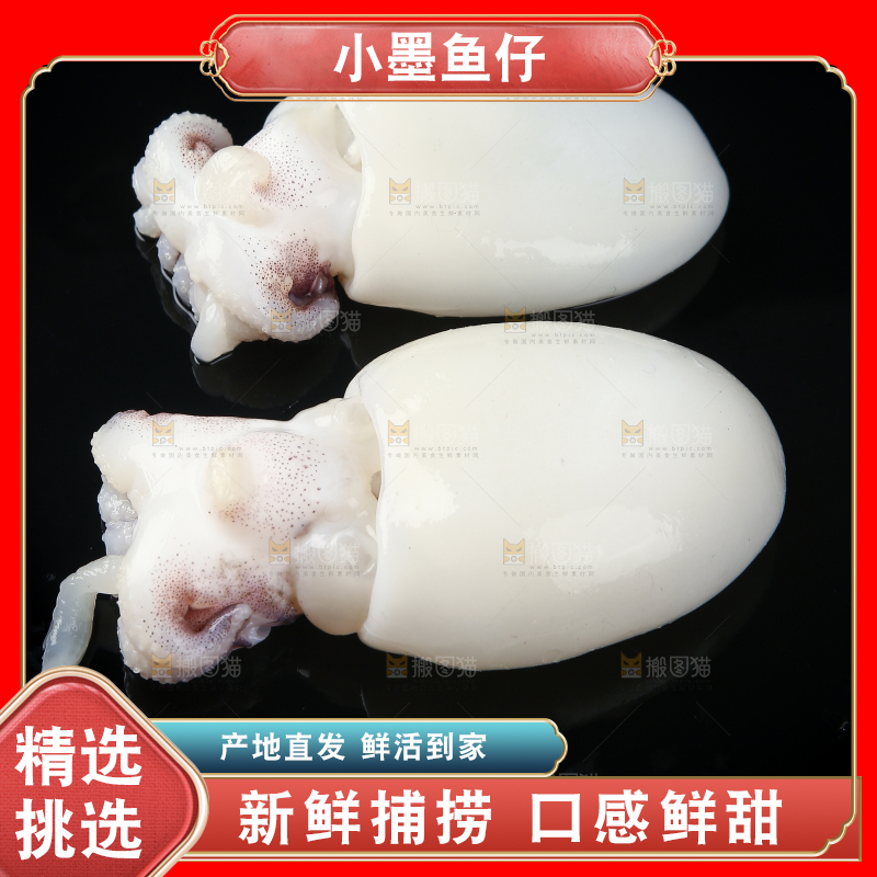 黑底上的墨鱼仔