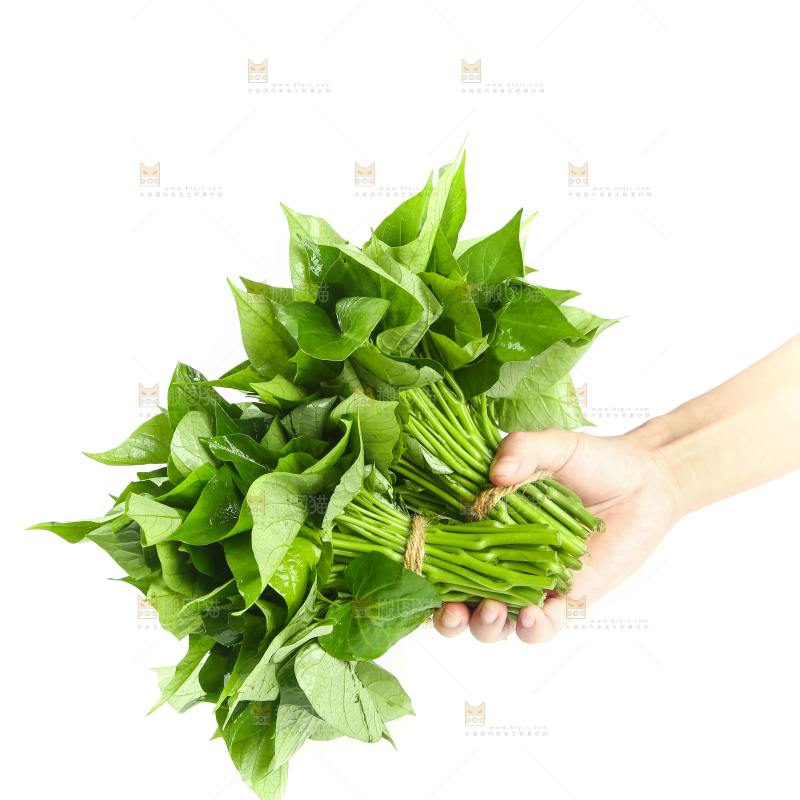 手里拿着地瓜叶