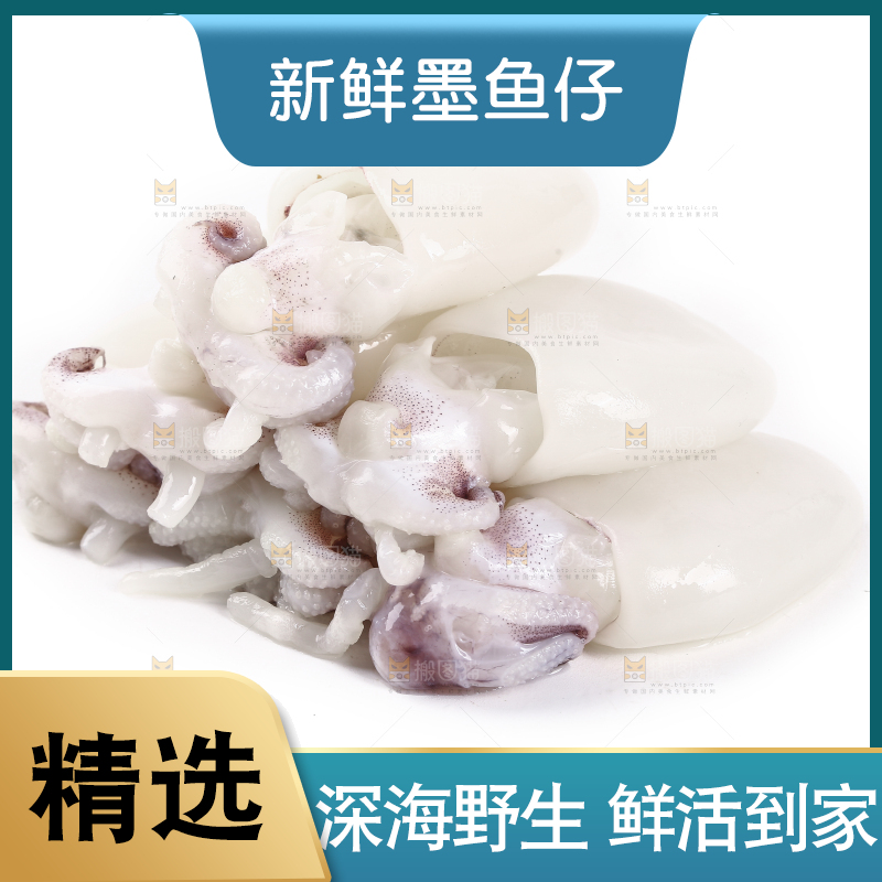 一堆新鲜墨鱼仔