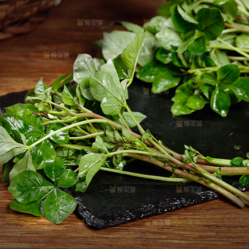 黑石板上放着湖北白花菜