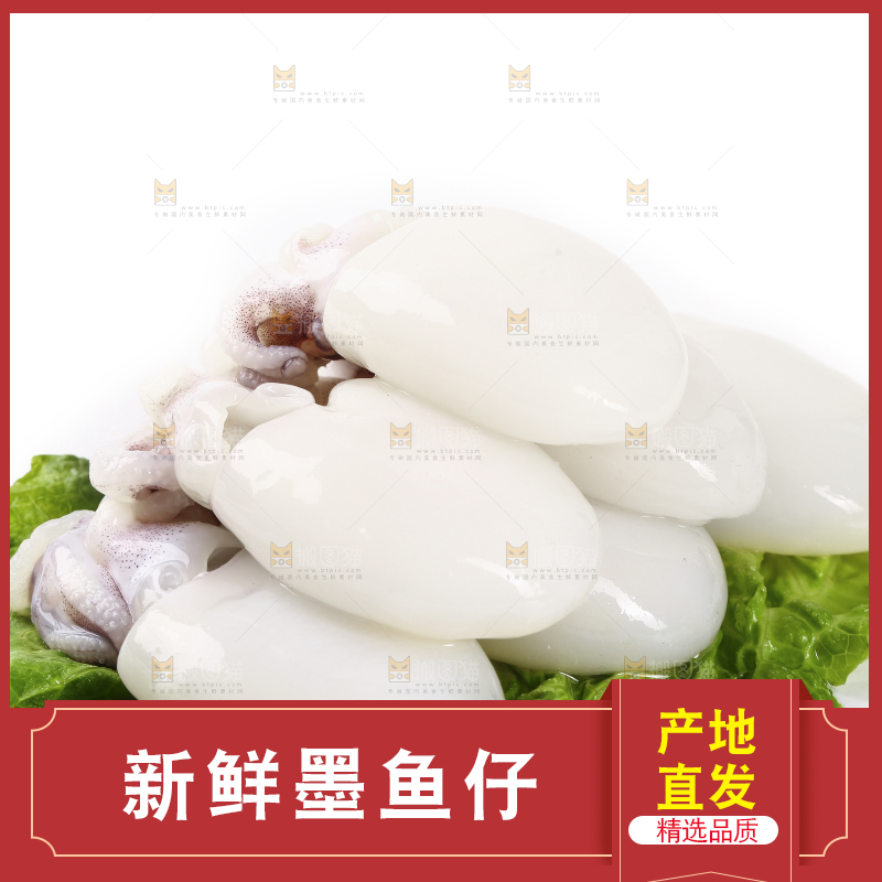 一堆新鲜墨鱼仔