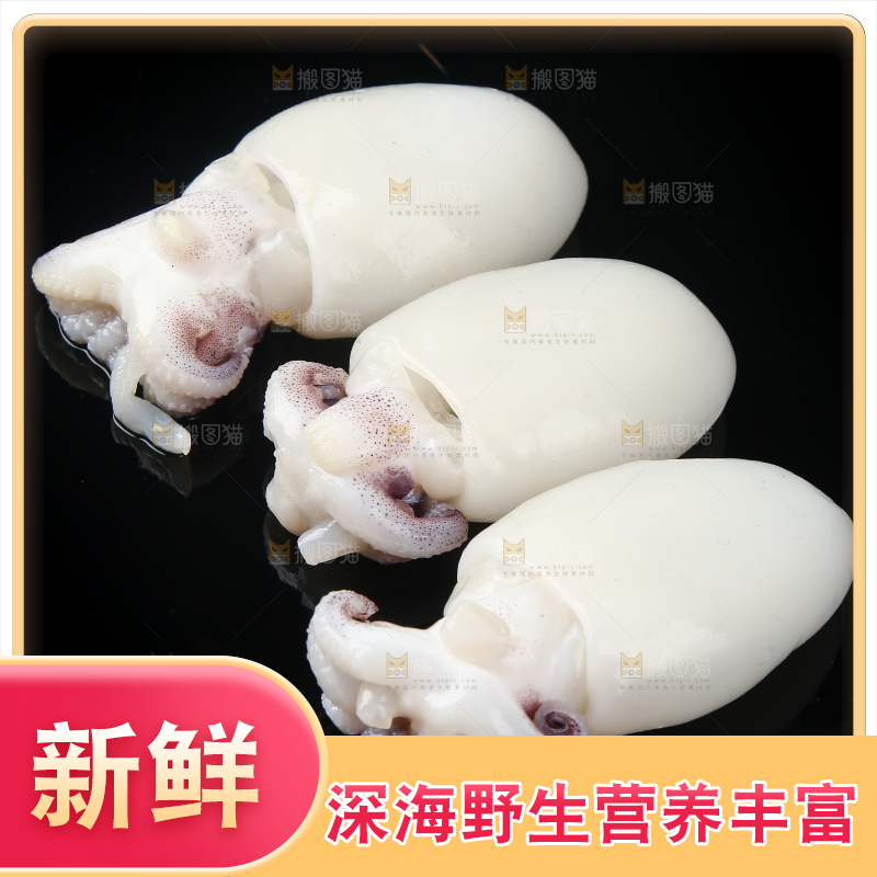 黑底上的墨鱼仔