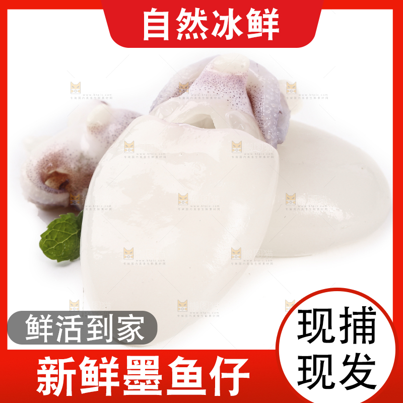 白底上放着墨鱼仔
