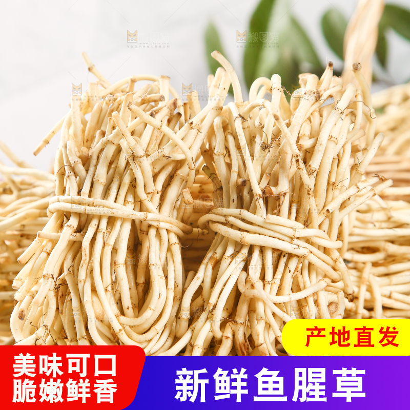 木板上放着一堆鲜嫩鱼腥草