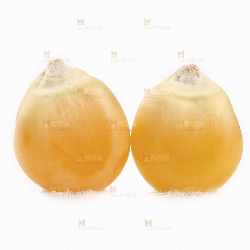白底上的玉米粒