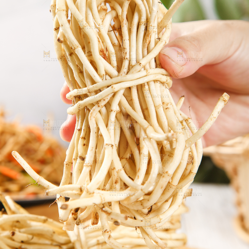 手里拿着鱼腥草