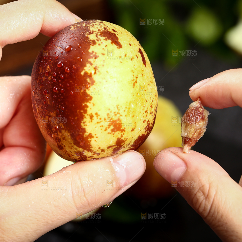 手里拿着冬枣和枣子核对比