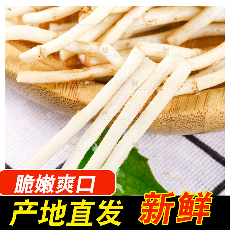 格子底上的鱼腥草