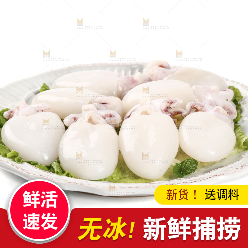 白底上放着一盘小墨鱼