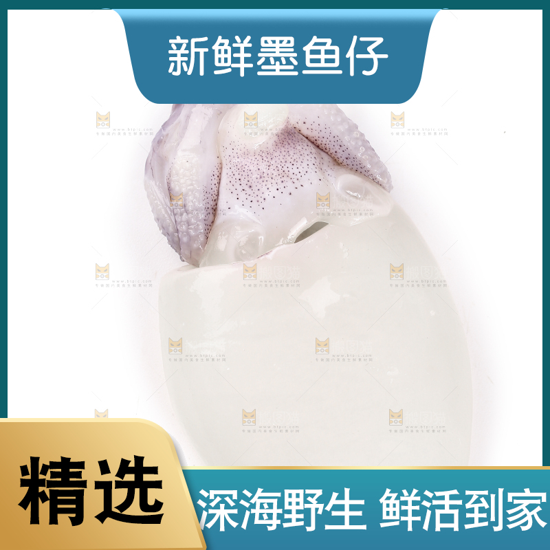 白底上放着墨鱼仔