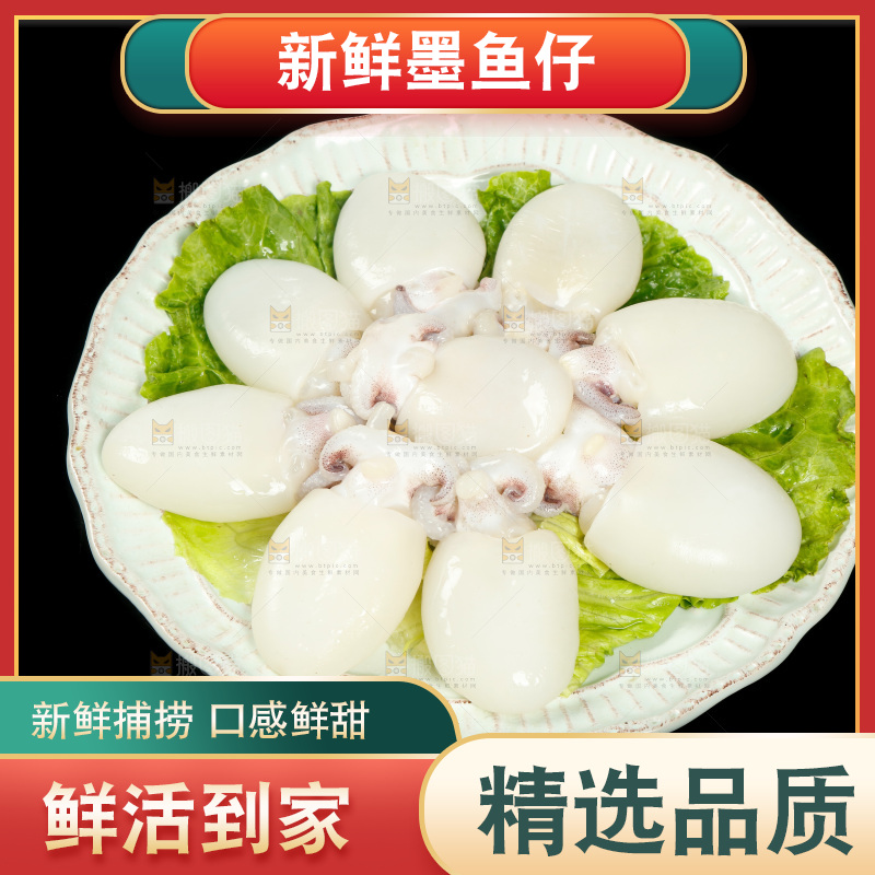 黑底上一盘墨鱼仔