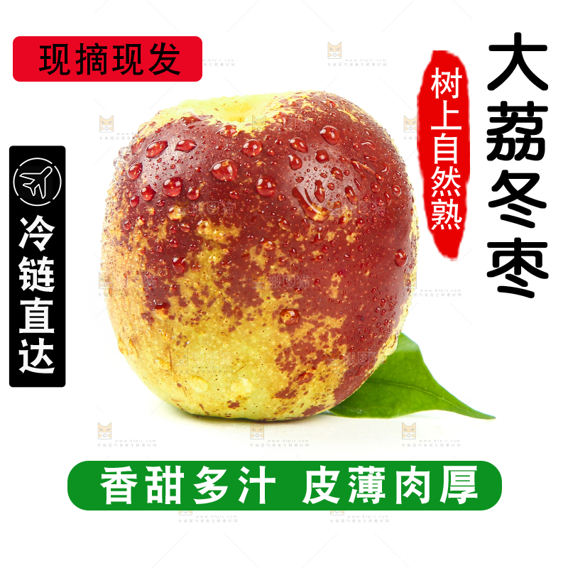 白底上的山东沾化冬枣