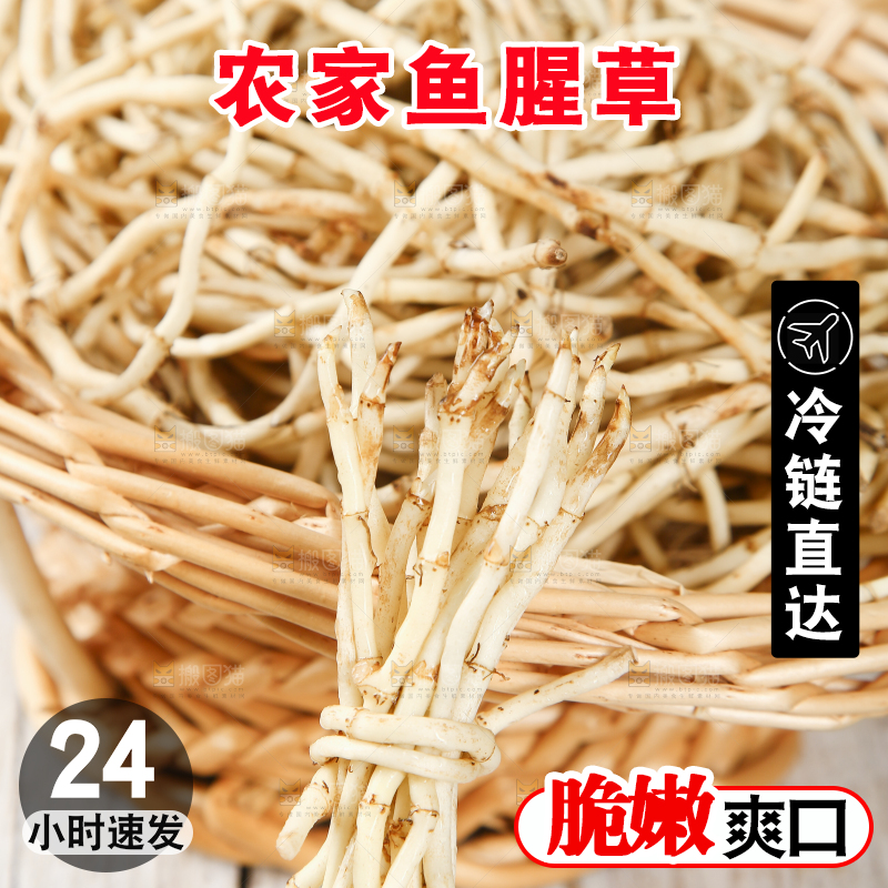 一堆新鲜折耳根