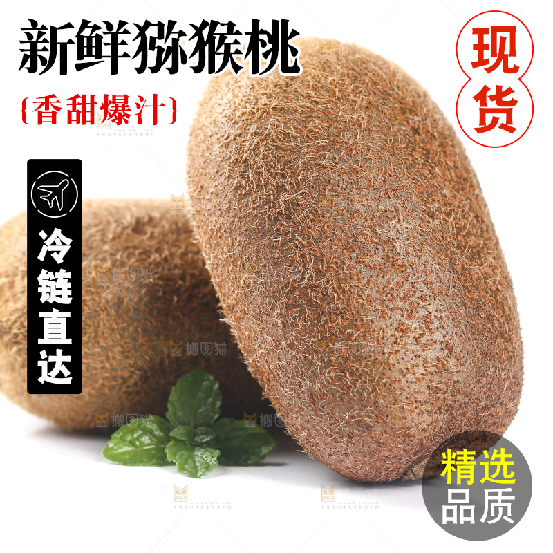 修文猕猴桃摆放在白底上