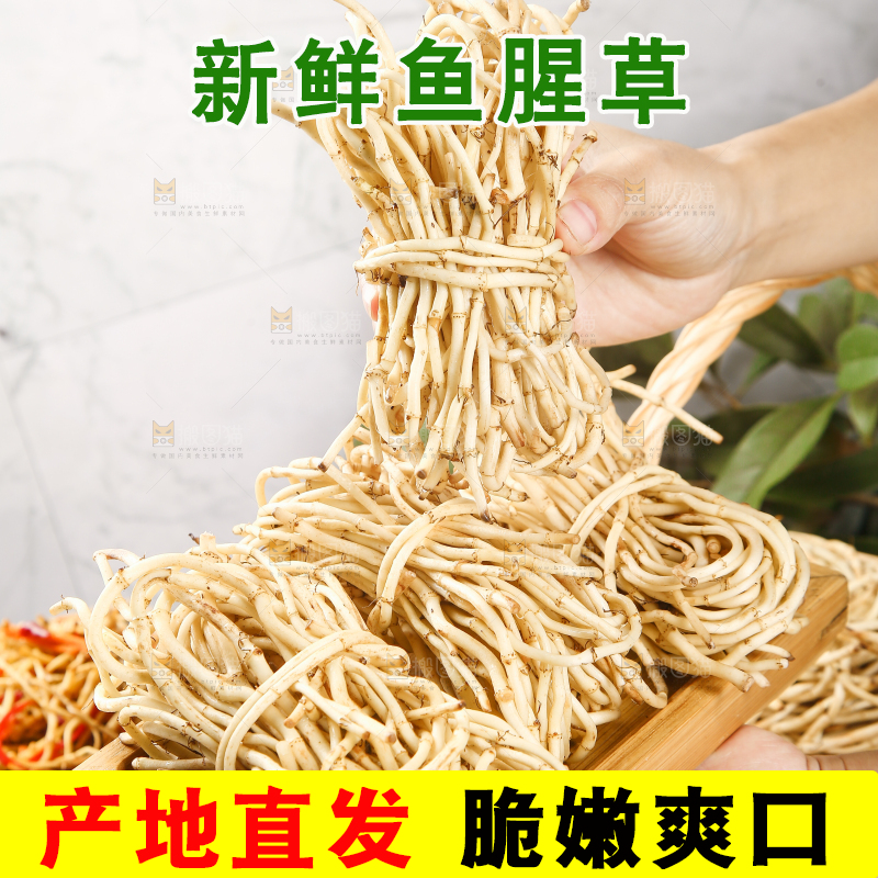 手里端着一盘折耳根