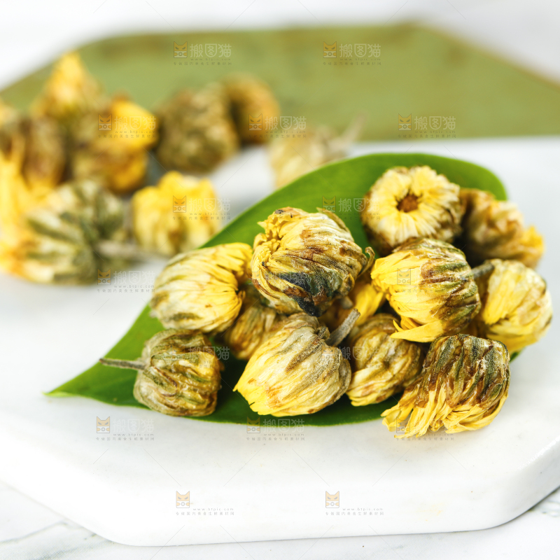 石垫上的胎菊