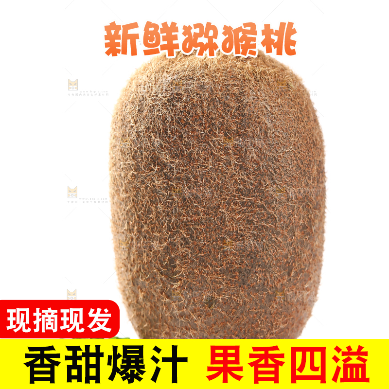 修文猕猴桃摆放在白底上