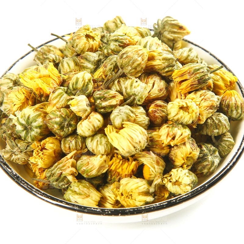 白底上放着一盘胎菊