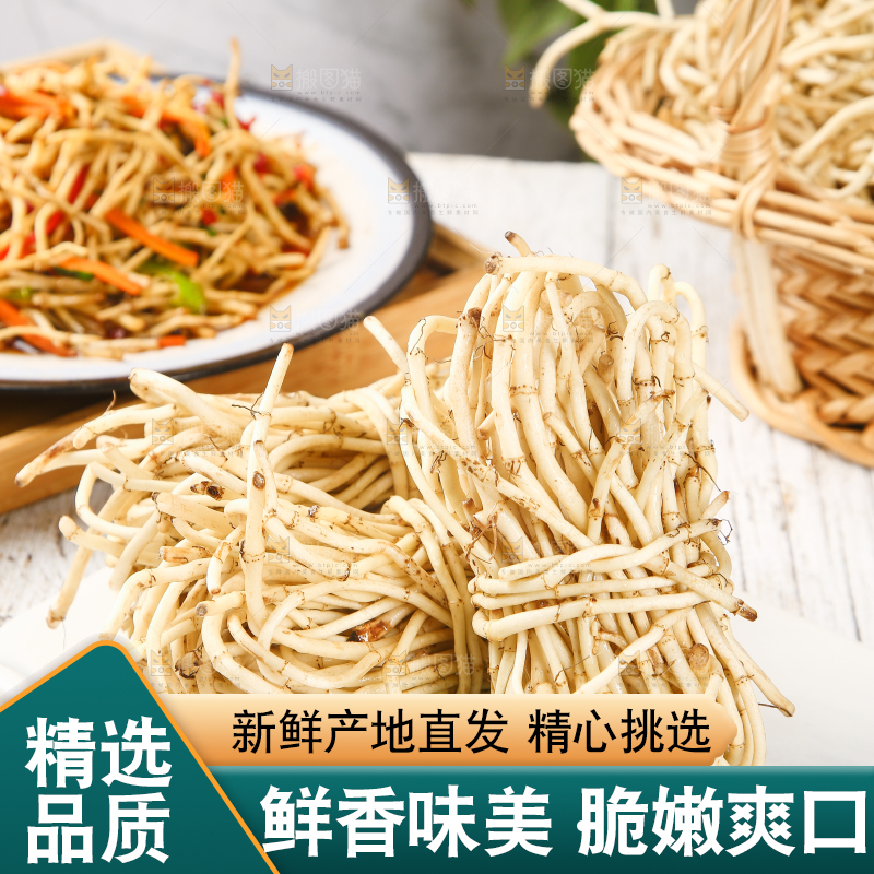 一堆新鲜鱼腥草
