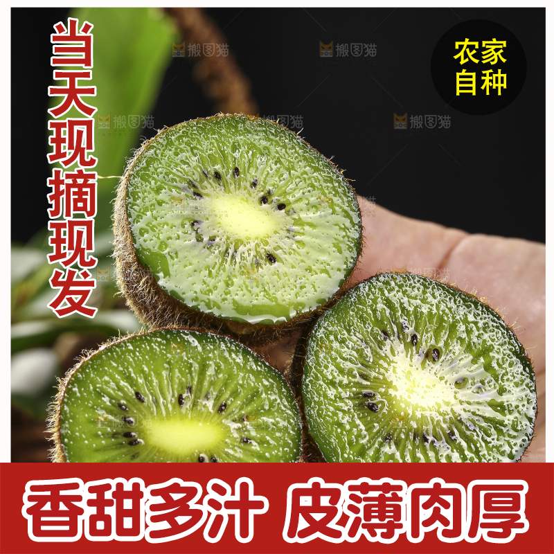 手里拿着绿心猕猴桃