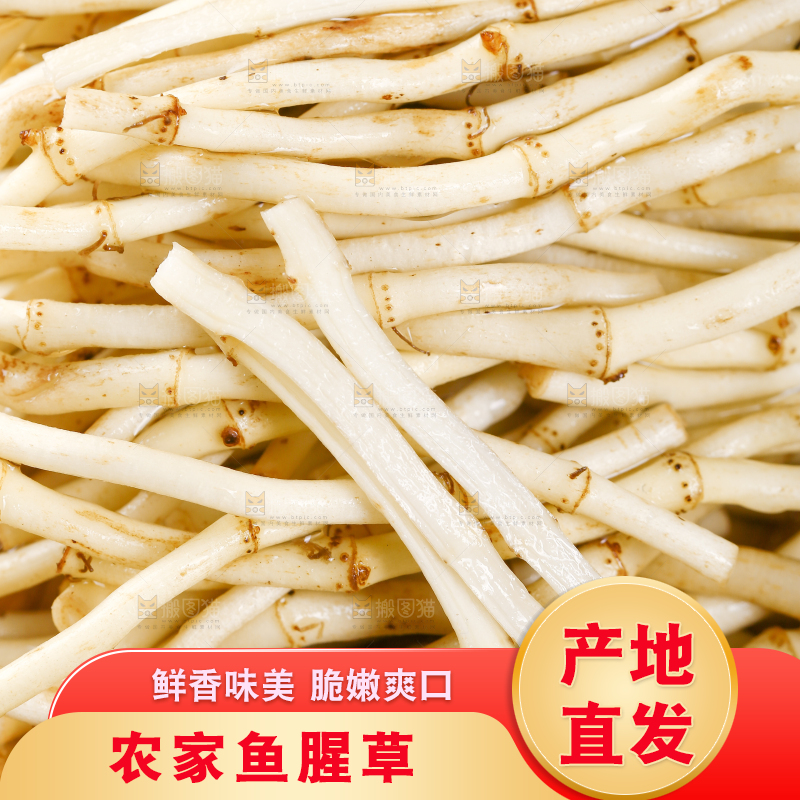 一堆新鲜折耳根