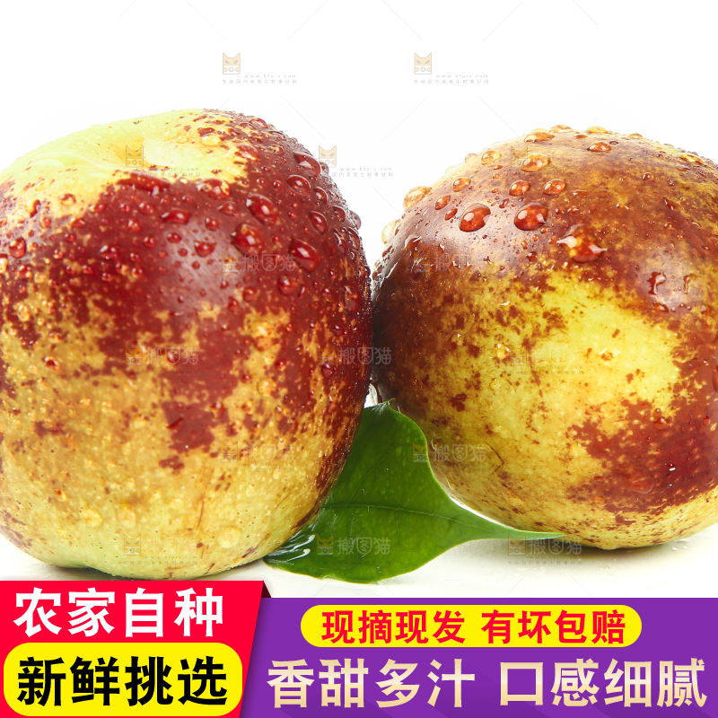 白底上的山东沾化冬枣