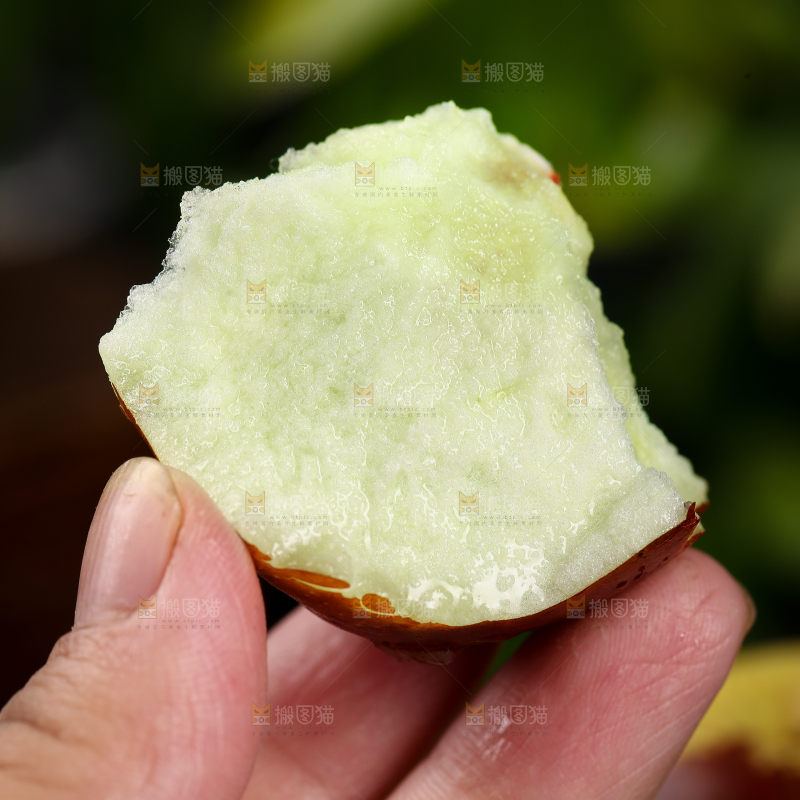 手里拿着枣子